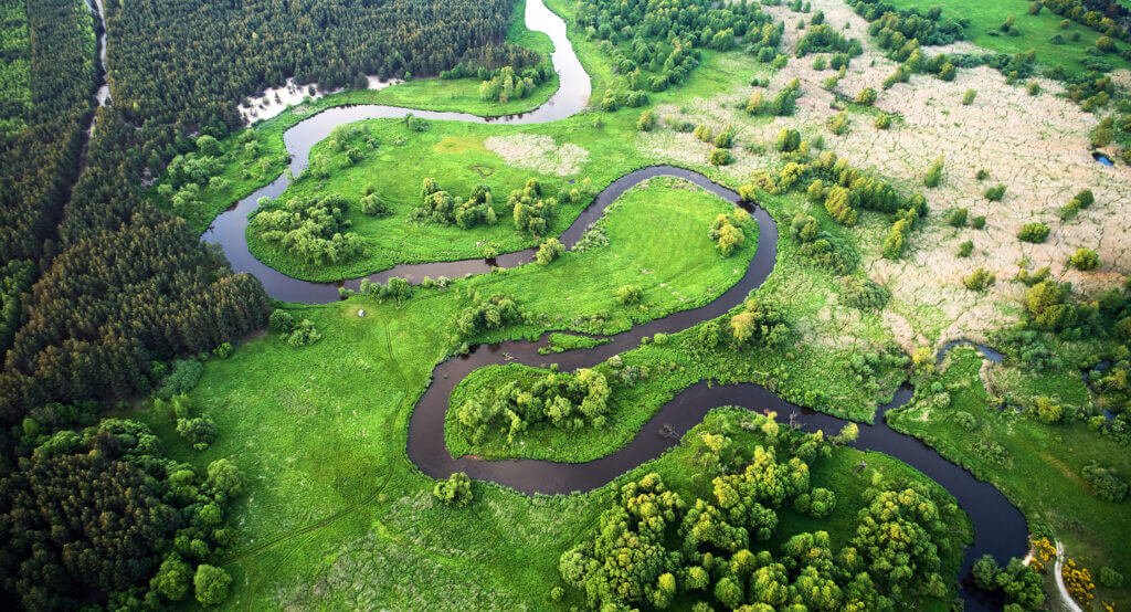 Aerial landscape - wild river in summer