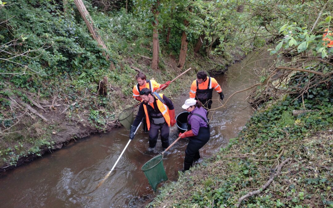 Pêche d&rsquo;intra calibration 2025